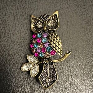 Colorful Owl Brooch with Crystals